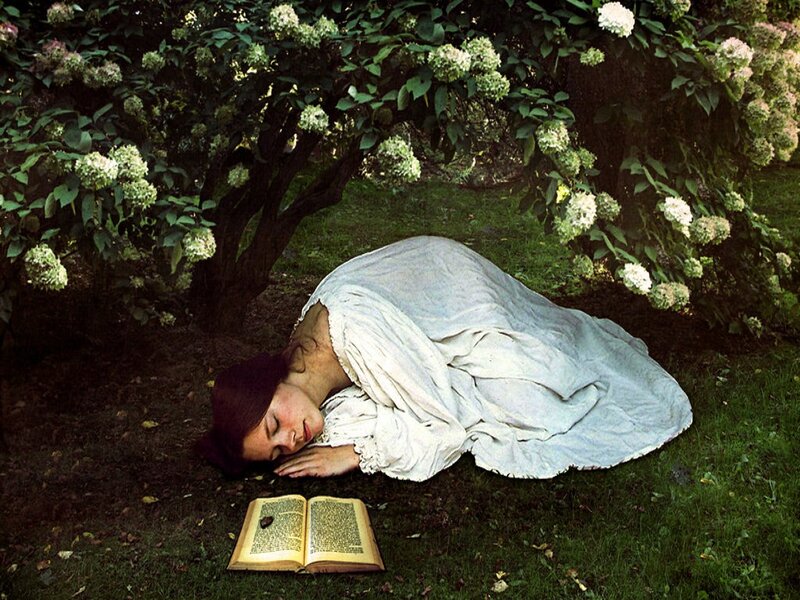 Woman Sleeping on Grass — Green, Serene, Summer