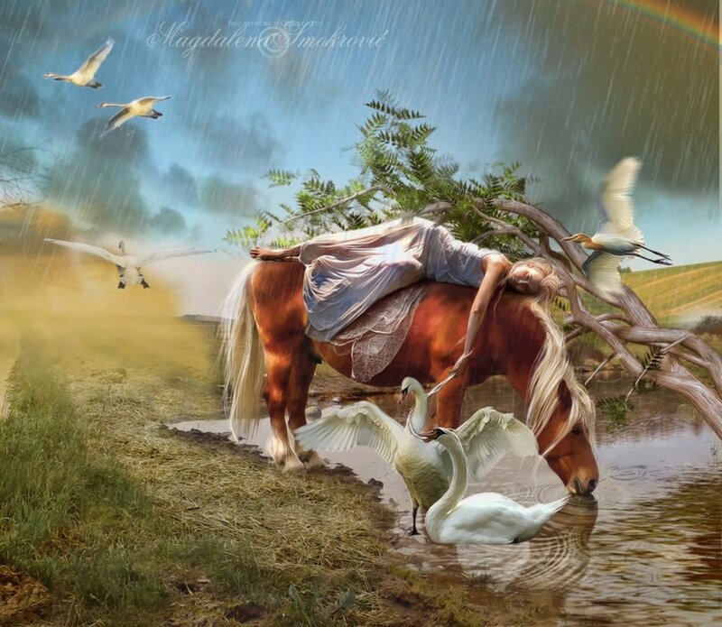 Woman Sleeping on Horse