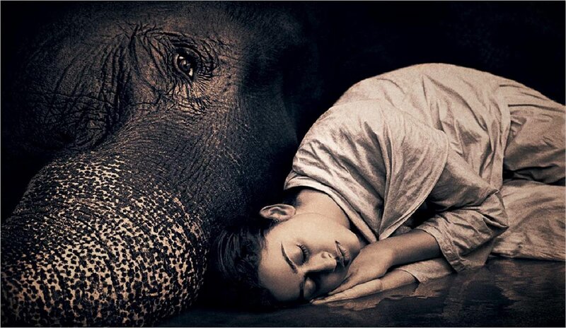Woman Sleeping with Elephant