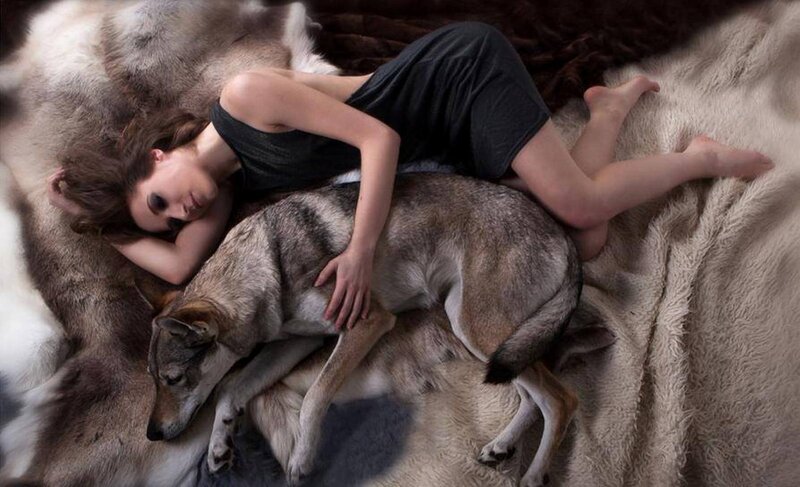 Woman Sleeping with Wolf — Gray, Serene
