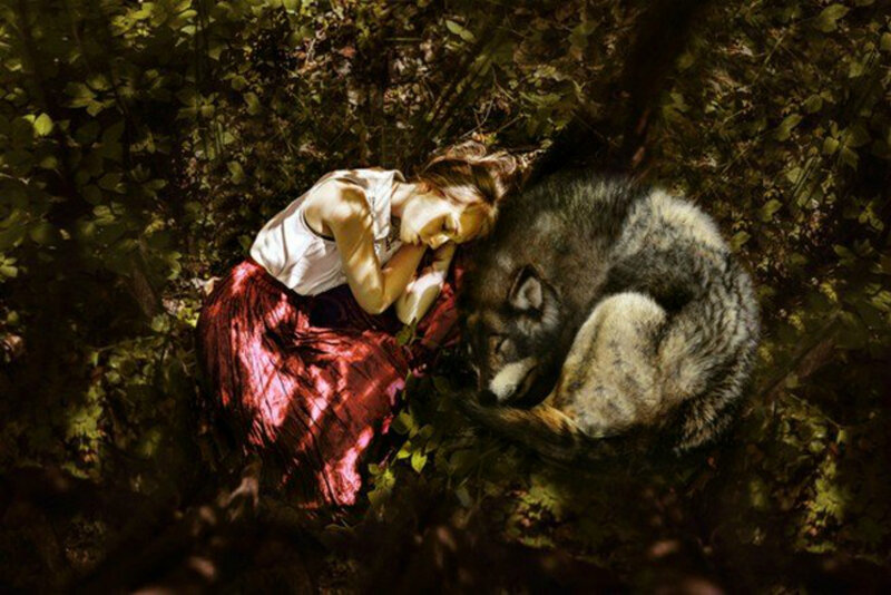 Woman Sleeping with Wolf — Green, Serene