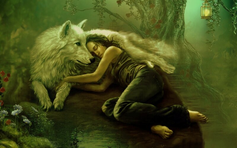 Woman Sleeping with Wolf — Green