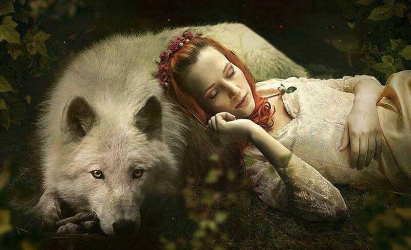 Woman Sleeping with Wolf — White