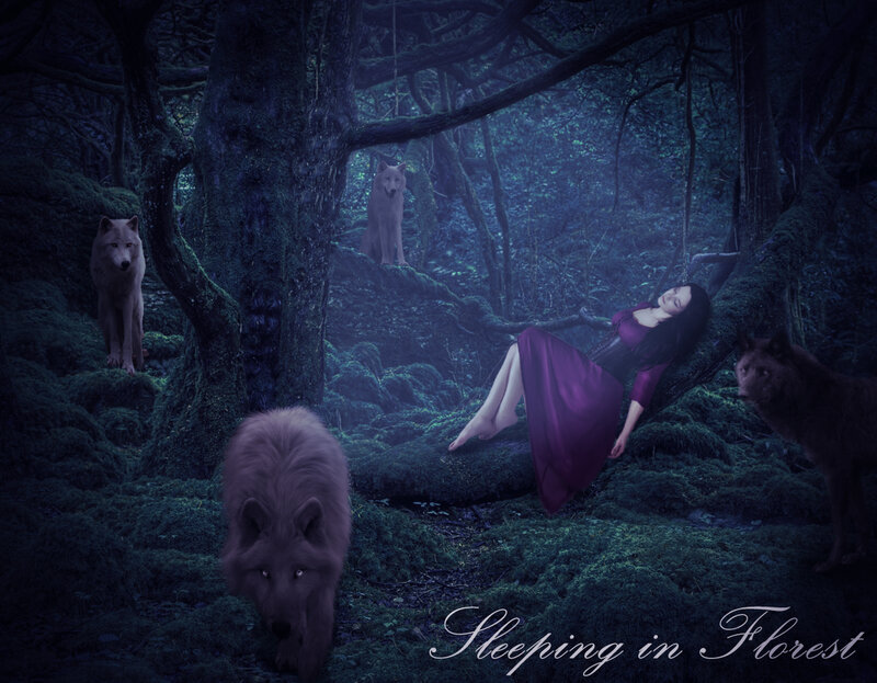 Woman Sleeping with Wolves — Purple