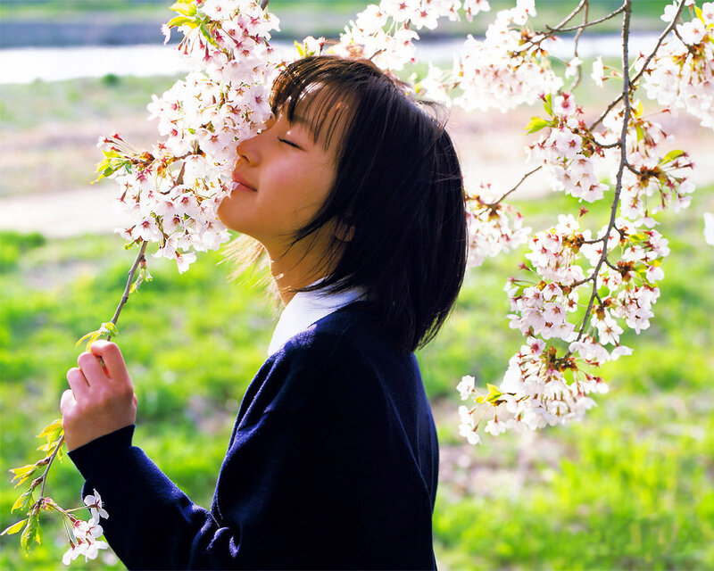 woman smelling cherry blossoms