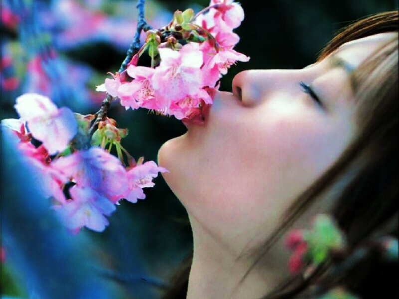 woman smelling cherry blossoms