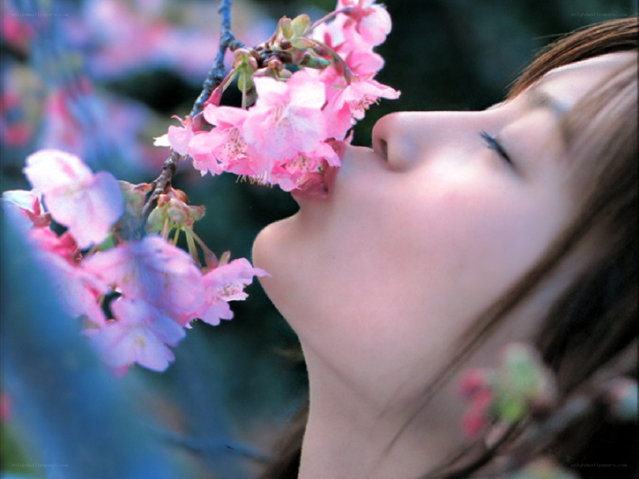 woman smelling cherry blossoms