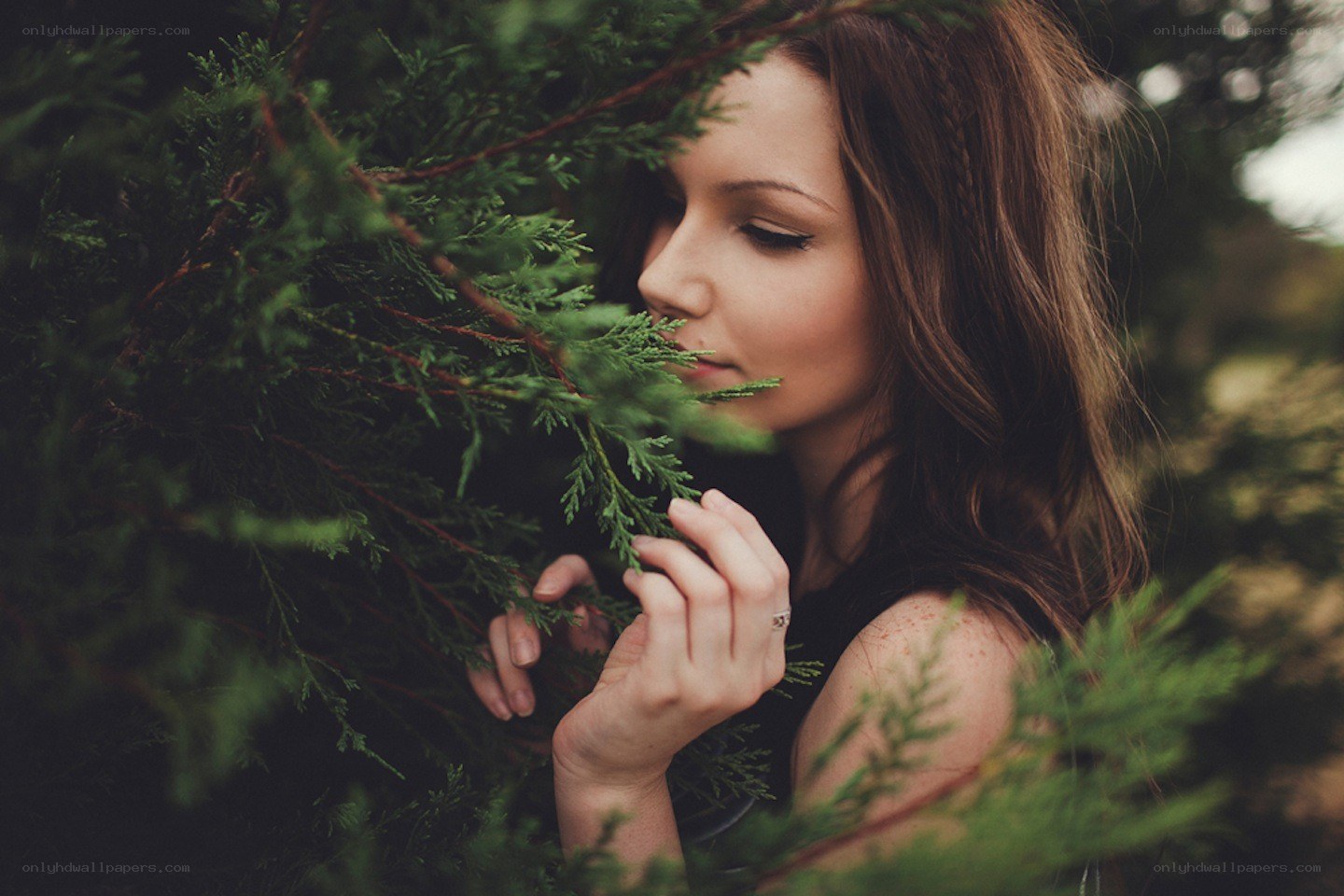 woman smelling evergreen branch