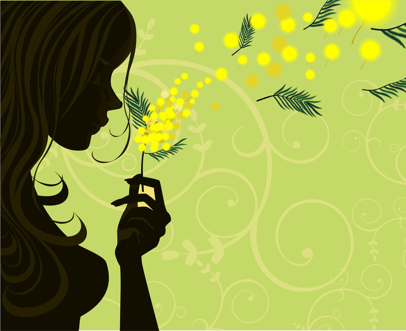 Woman Smelling Mimosa Flower