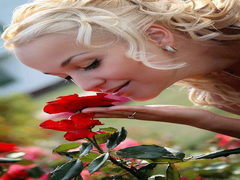 woman smelling red rose