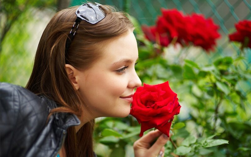 woman smelling red rose