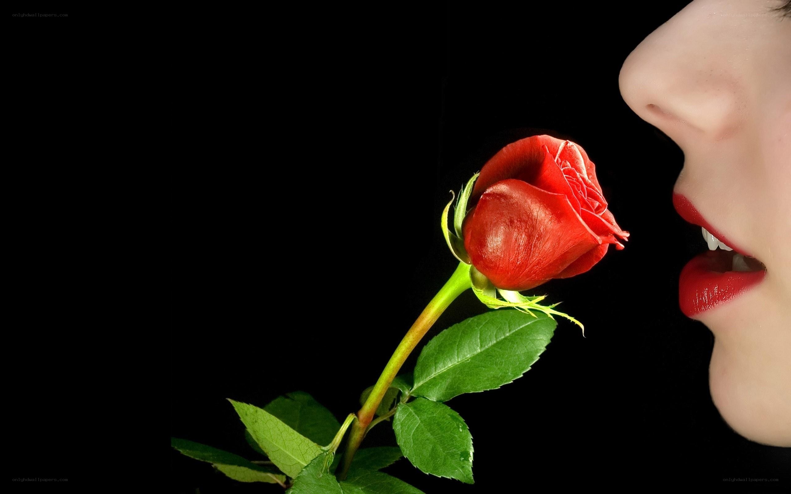 woman smelling red rose