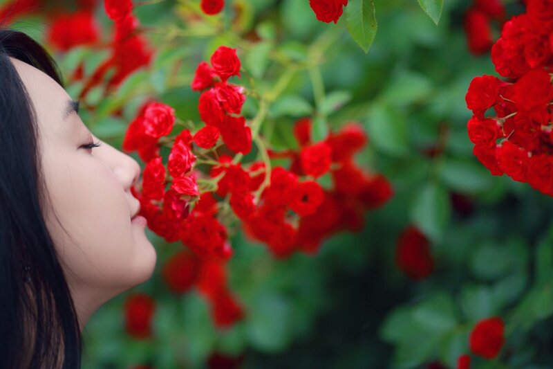 woman smelling red roses
