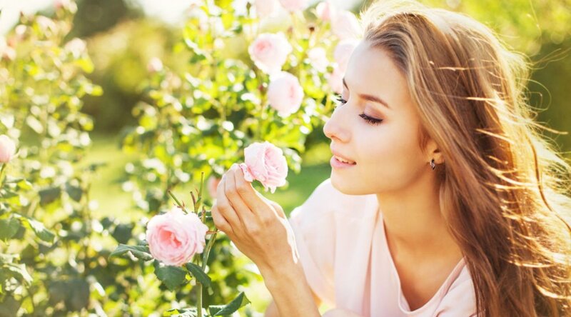Woman Smelling Rose — Pink, Serene, Afternoon, Photograph