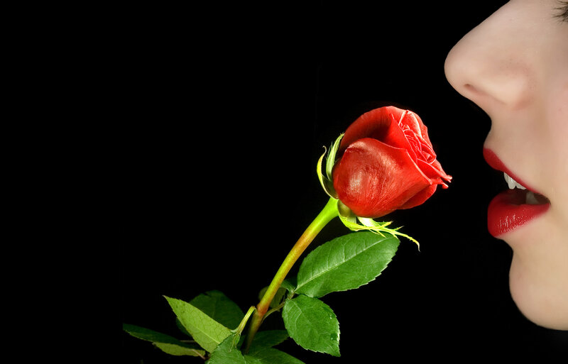 Woman Smelling Rose — Red, Dramatic, Photograph, Lips