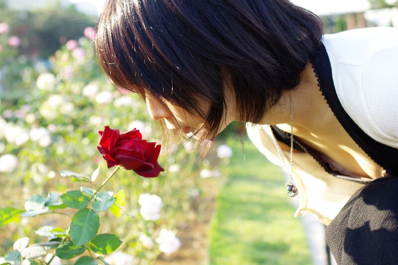 Woman Smelling Rose — Red, Serene, Afternoon, Photograph
