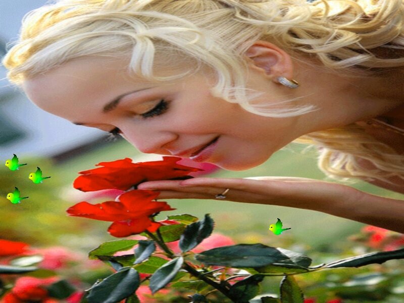 Woman Smelling Rose — Red, Serene, Afternoon