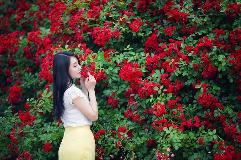 Woman Smelling Roses — Red, Serene, Summer