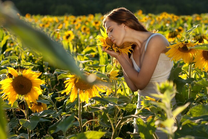 woman smelling sunflower in field
