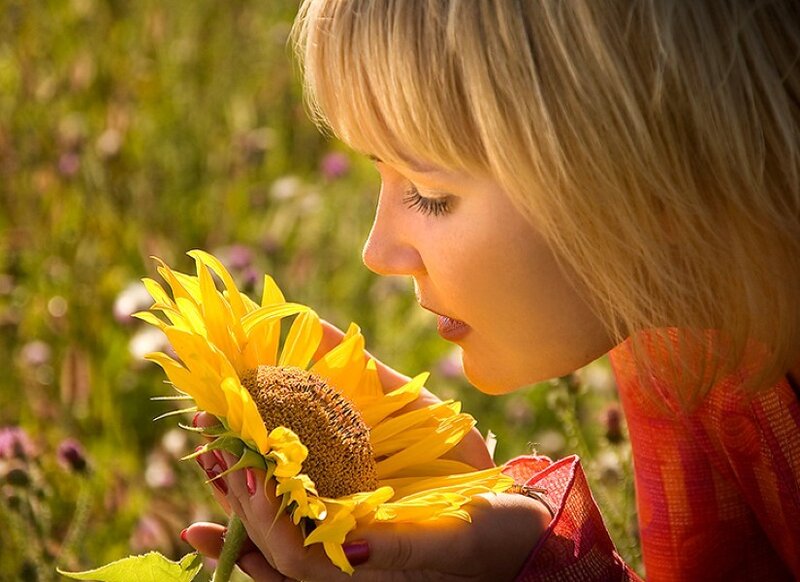 woman smelling sunflower