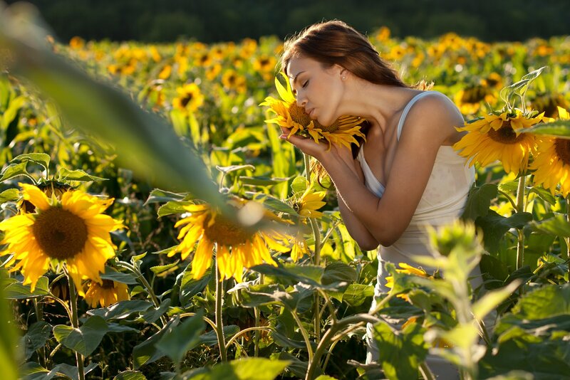 Woman Smelling Sunflower — Yellow, Serene