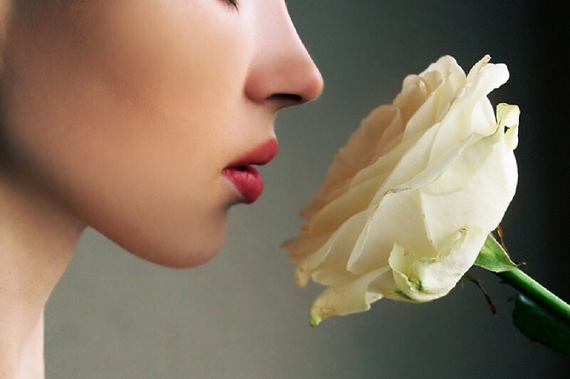 Woman Smelling White Rose