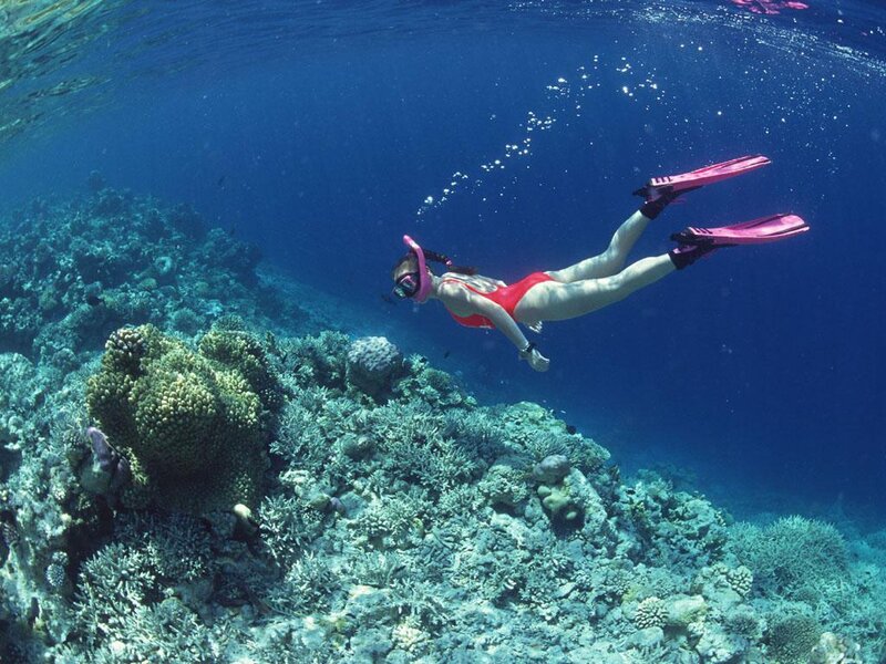 Woman Snorkeling over Reef