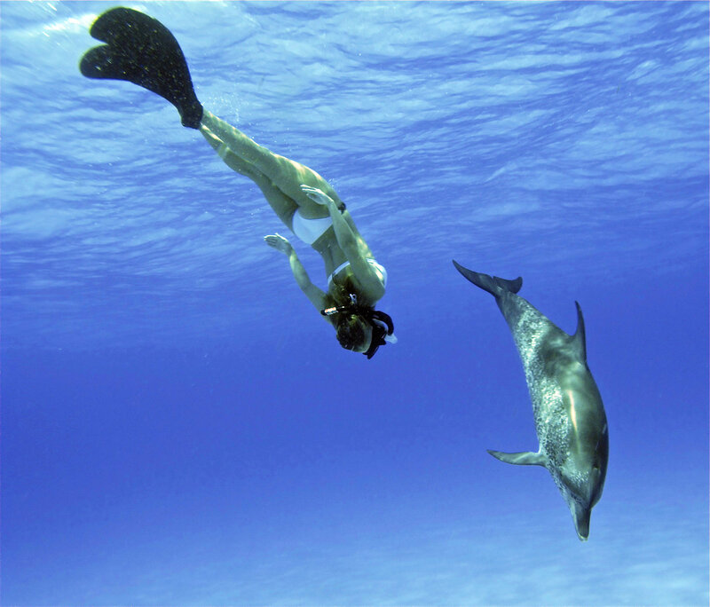 woman snorkeling with dolphin