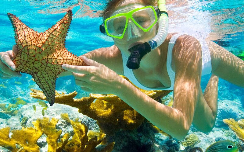 Woman Snorkeling with Starfish — Blue