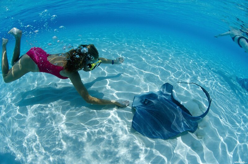 Woman Snorkeling with Stingray
