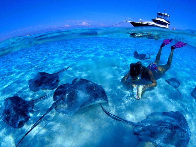 Woman Snorkeling with Stingrays