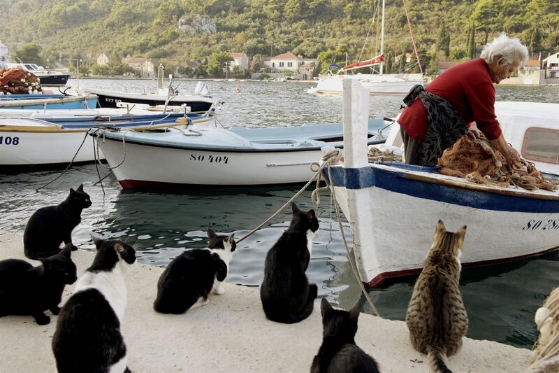 Woman Sorting Nets on Boat