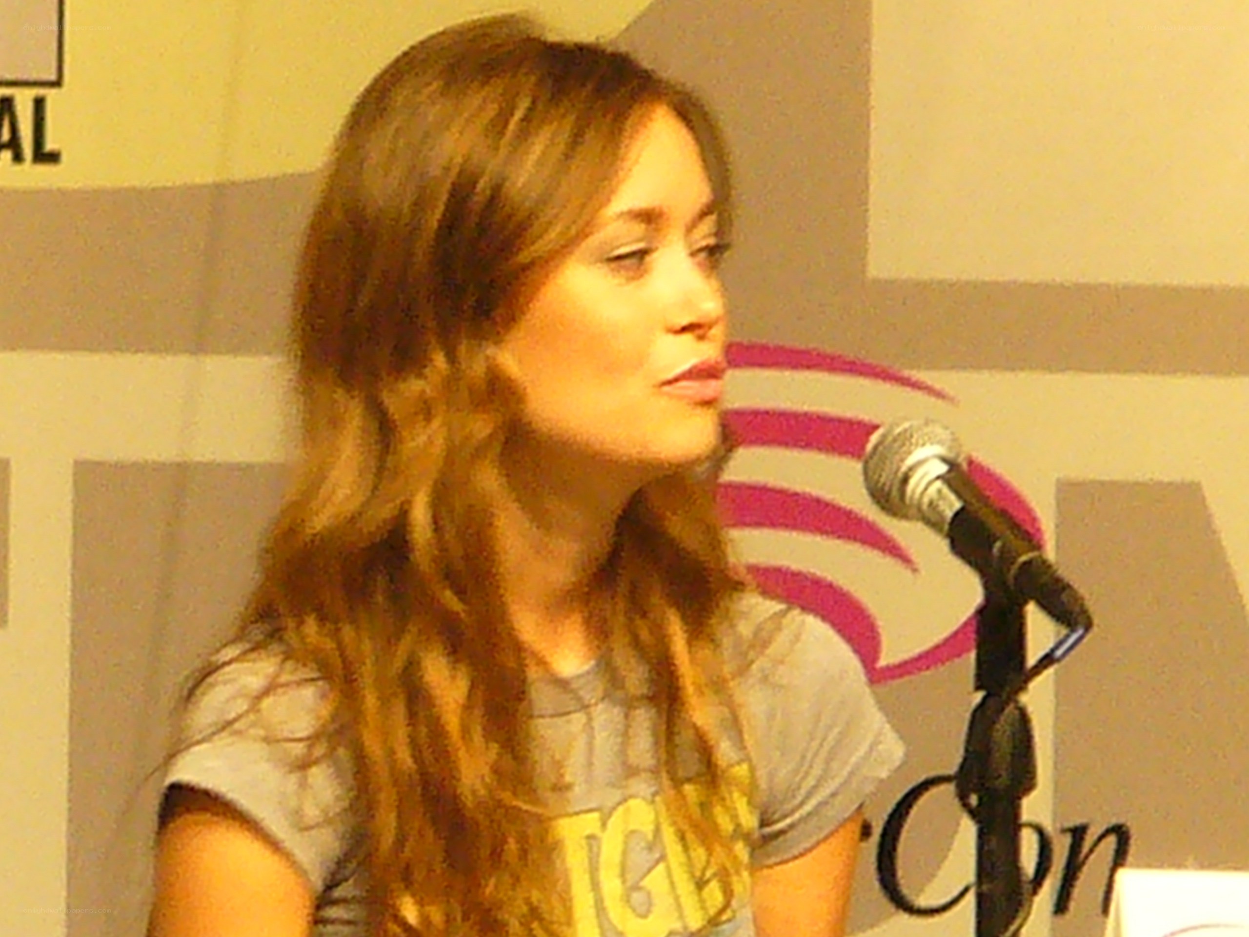 woman speaking at a panel