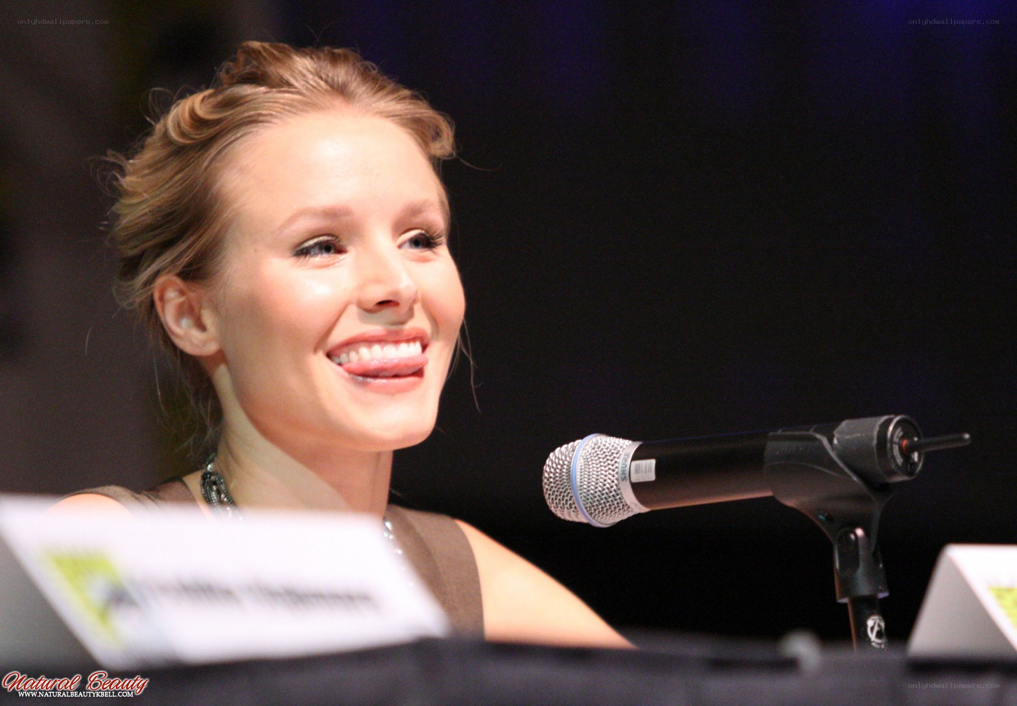 woman speaking at panel