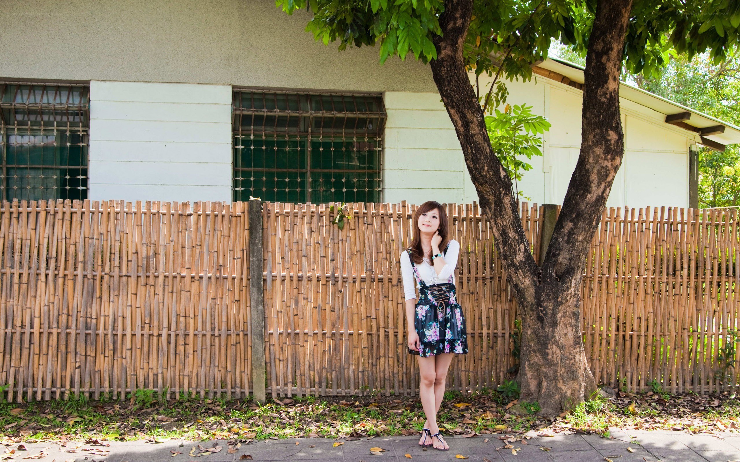 Woman standing by a tree