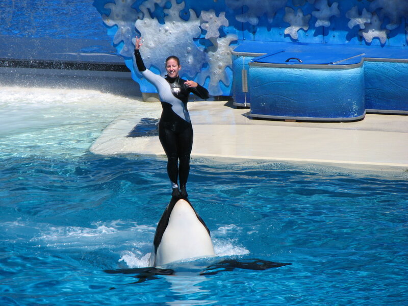 Woman standing on orca in pool