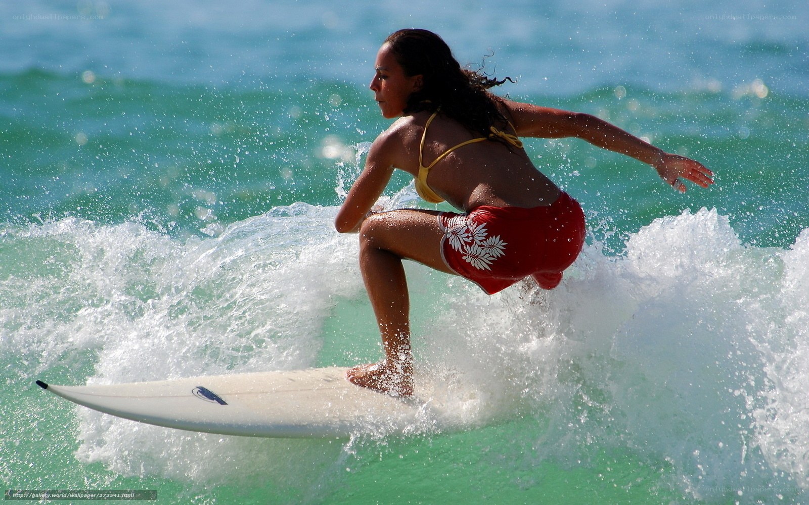woman surfing on a wave