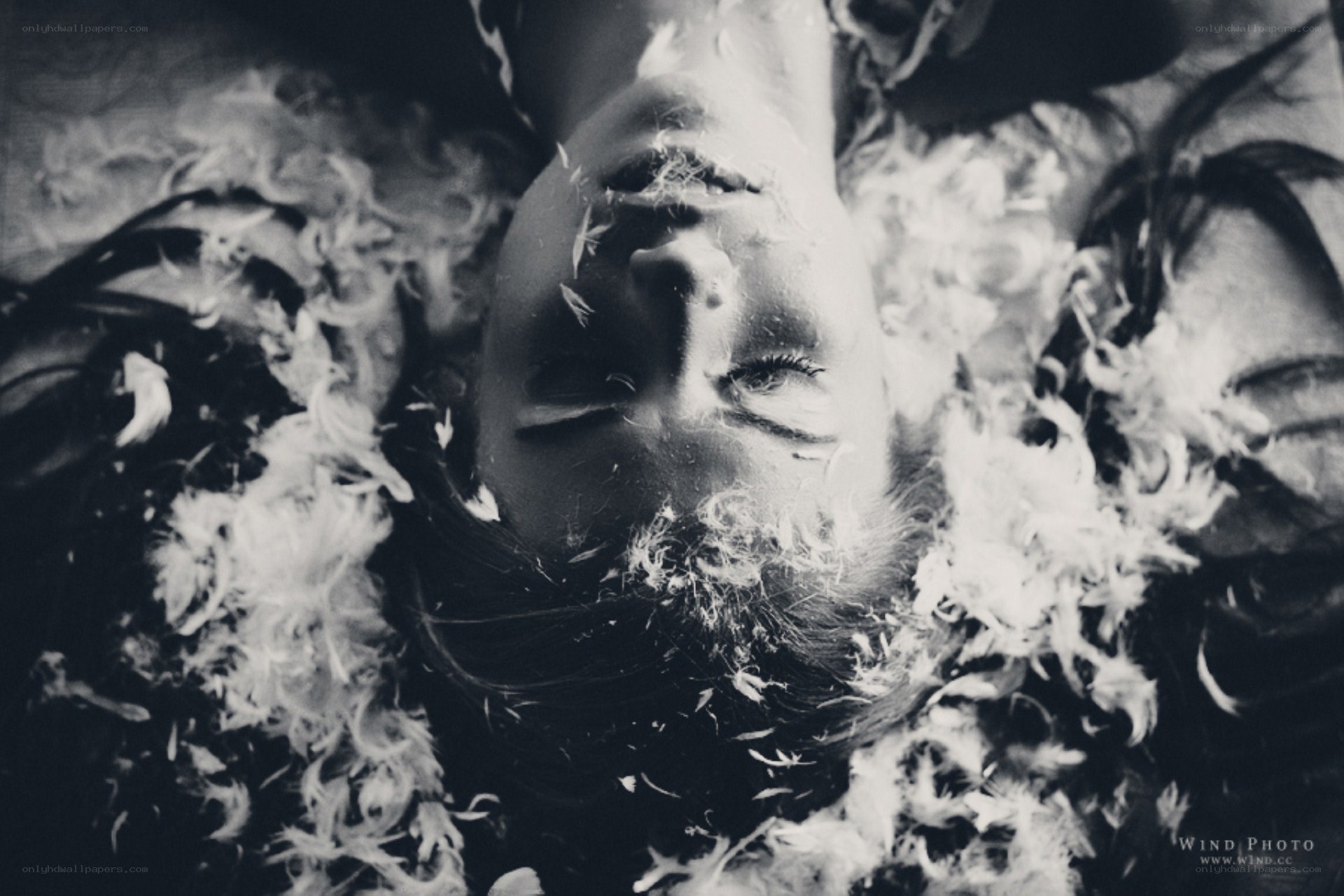 woman surrounded by feathers