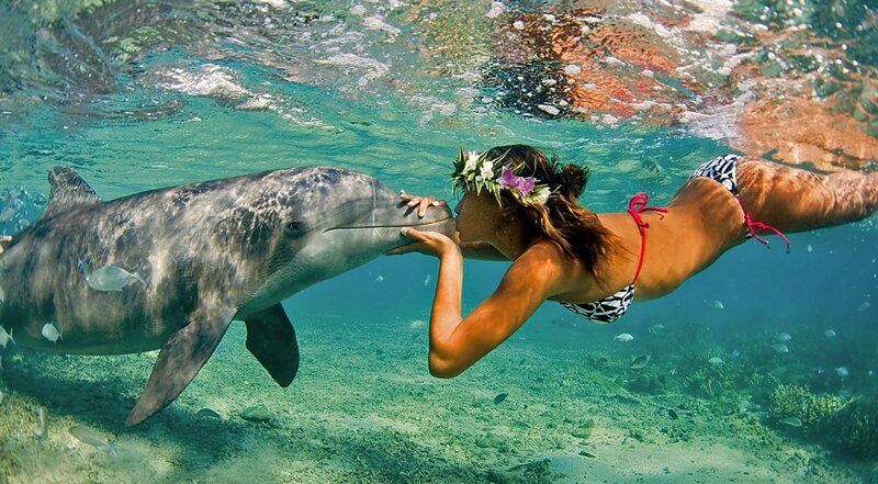 Woman Swimming with Dolphin — Blue, Serene