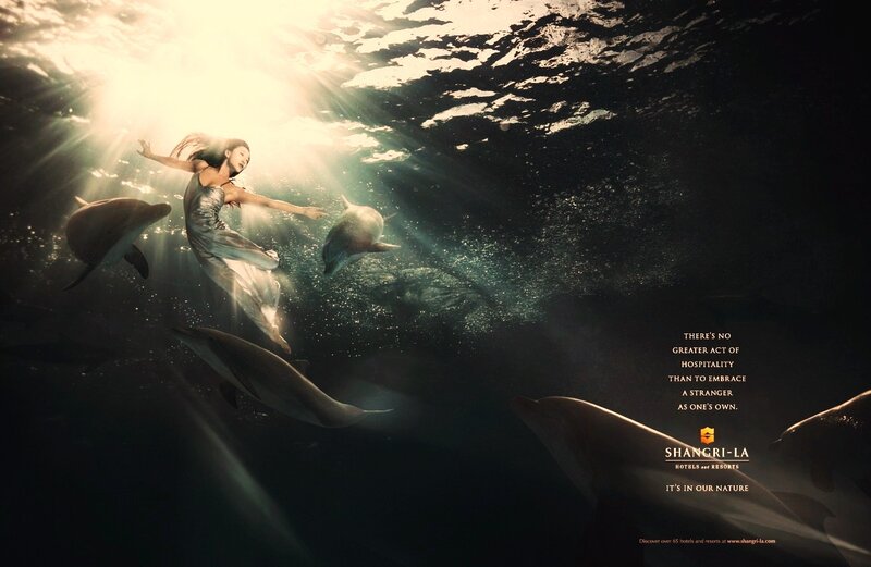 Woman Swimming with Dolphins — Black