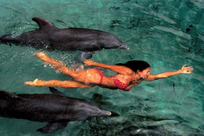 Woman Swimming with Dolphins — Green