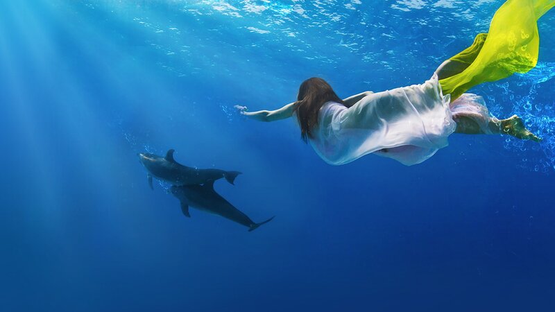 woman swimming with dolphins underwater