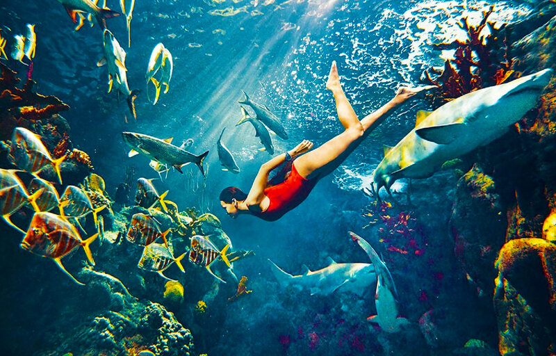 Woman Swimming with Fish