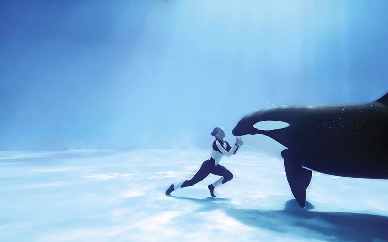 woman swimming with orca