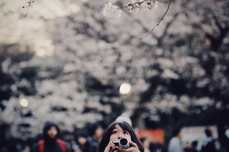 Woman Taking Photo — White, Serene, Spring
