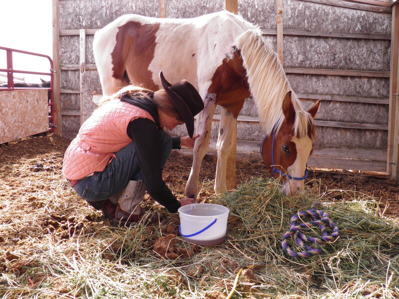 Woman Tending to Horse