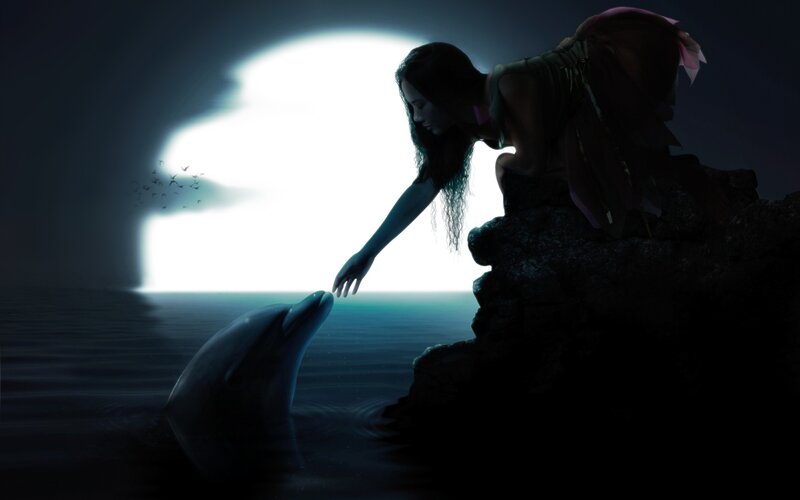 woman touching dolphin at night