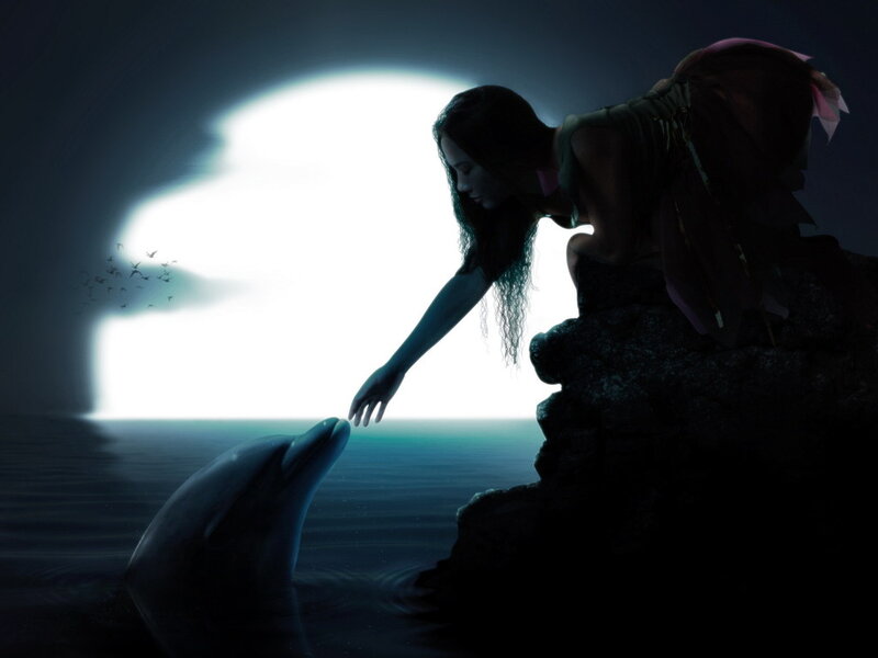 Woman Touching Dolphin