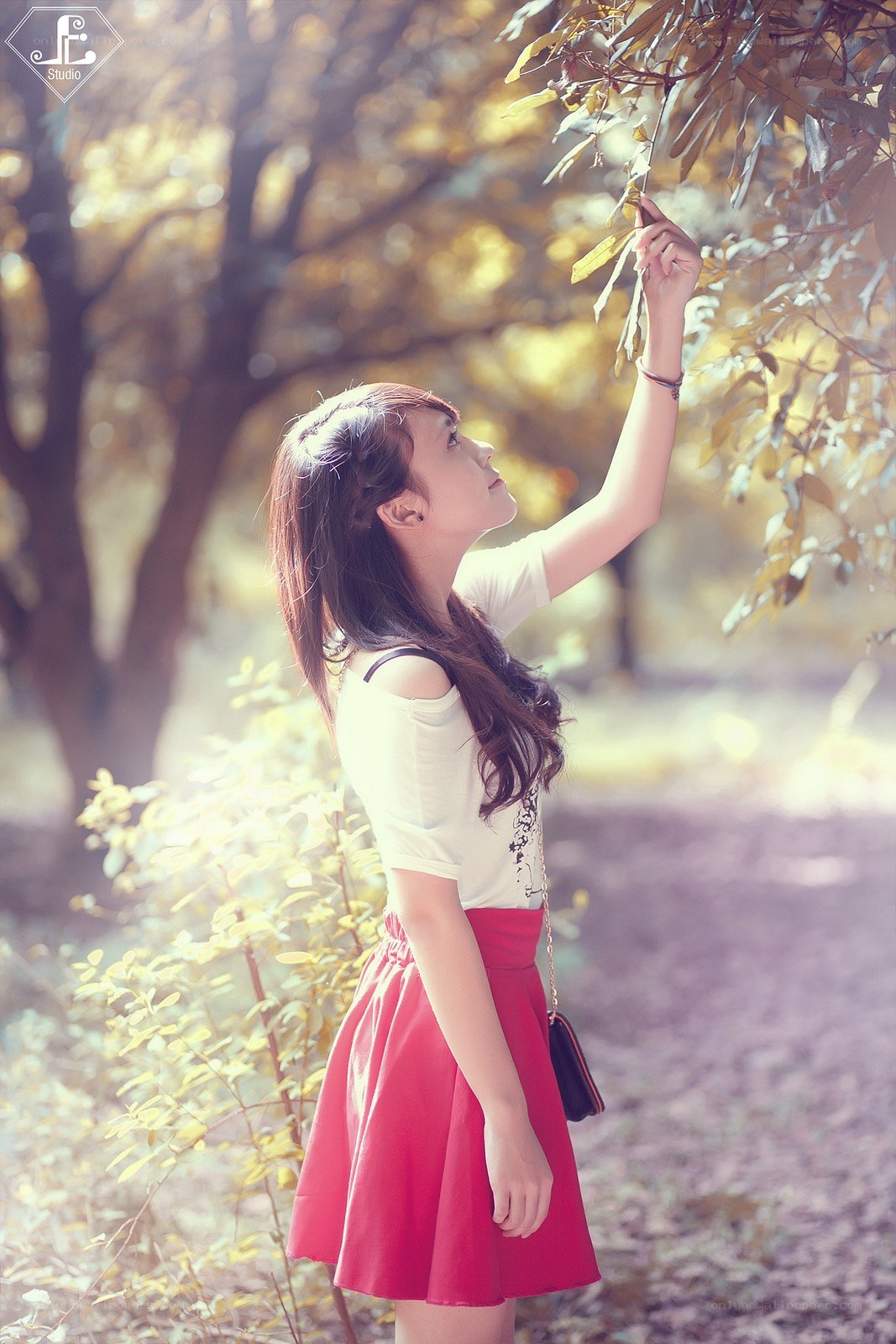 woman touching tree leaves