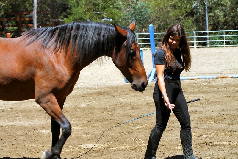 Woman Training Horse